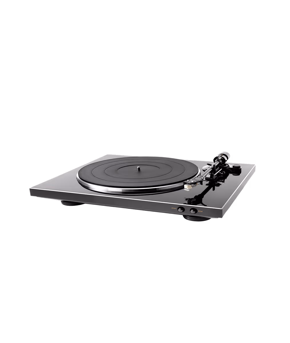 DP300F DP-300F - Image 1